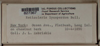Image Associated With the Occurence